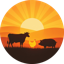 Barnyly® logo