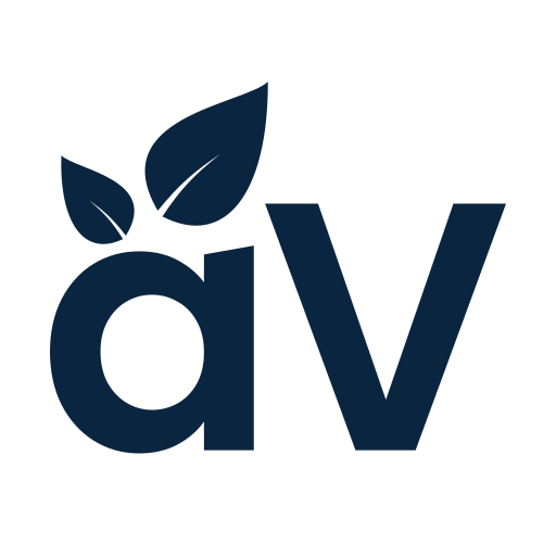 aVenture logo