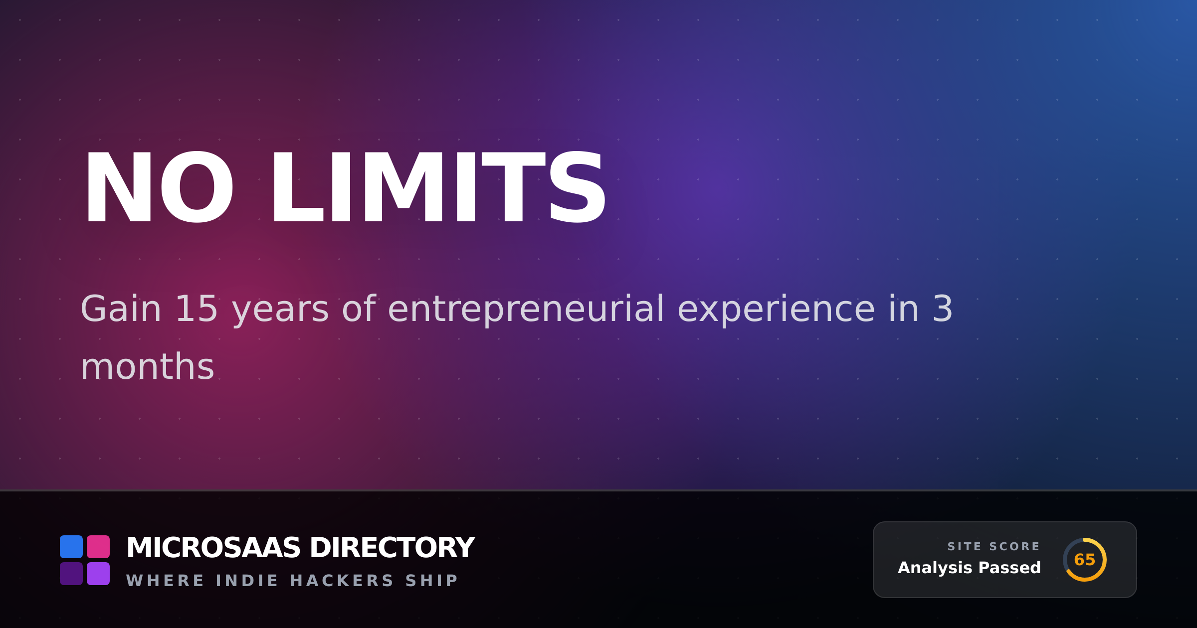 No Limits | MicroSaaS Directory