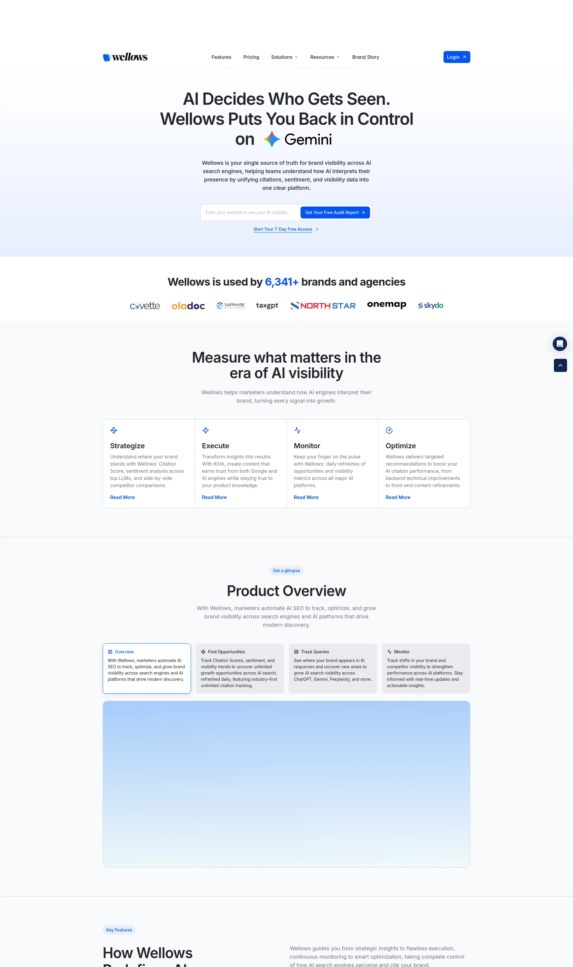 AI Search Visibility for Brands