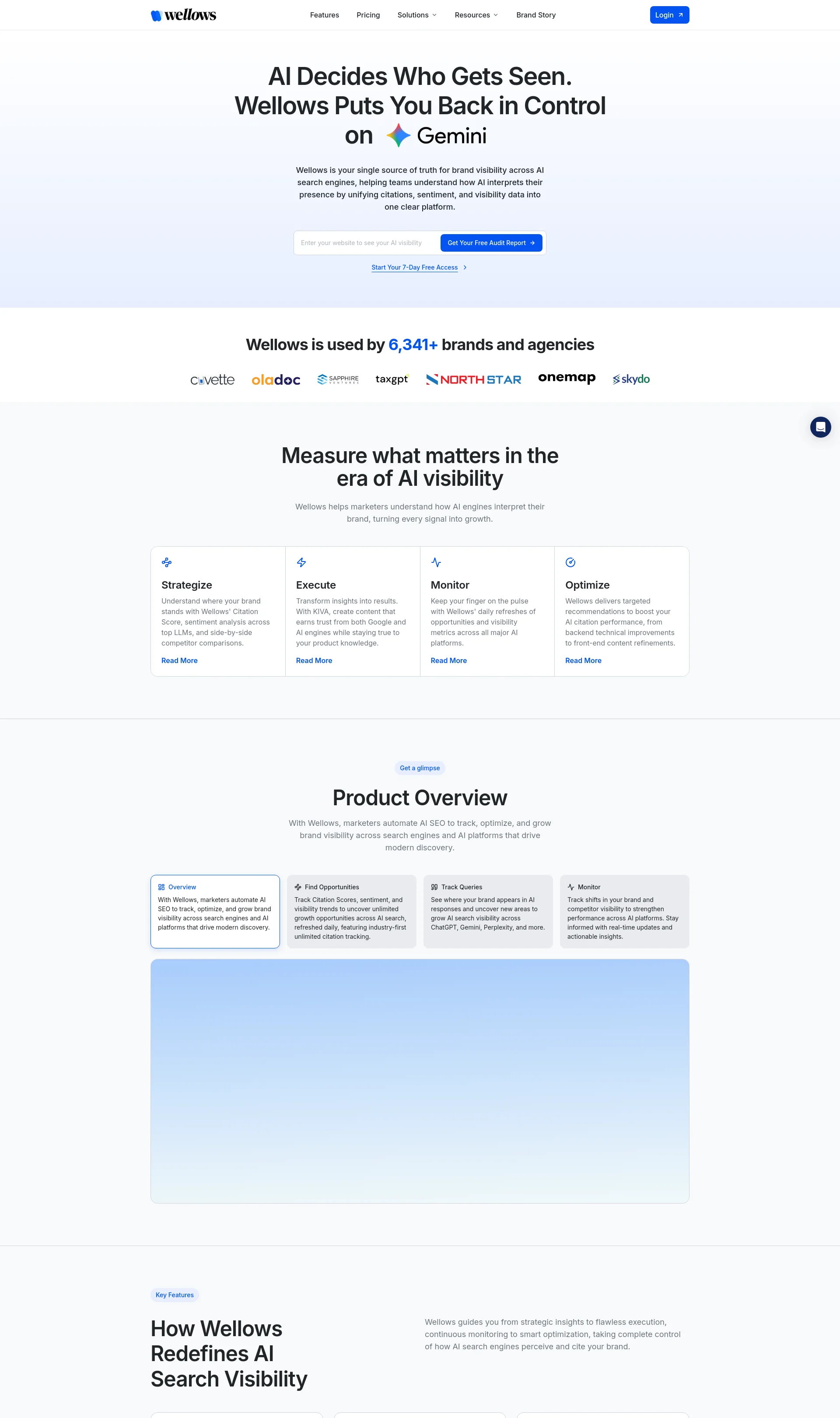 AI Search Visibility for Brands