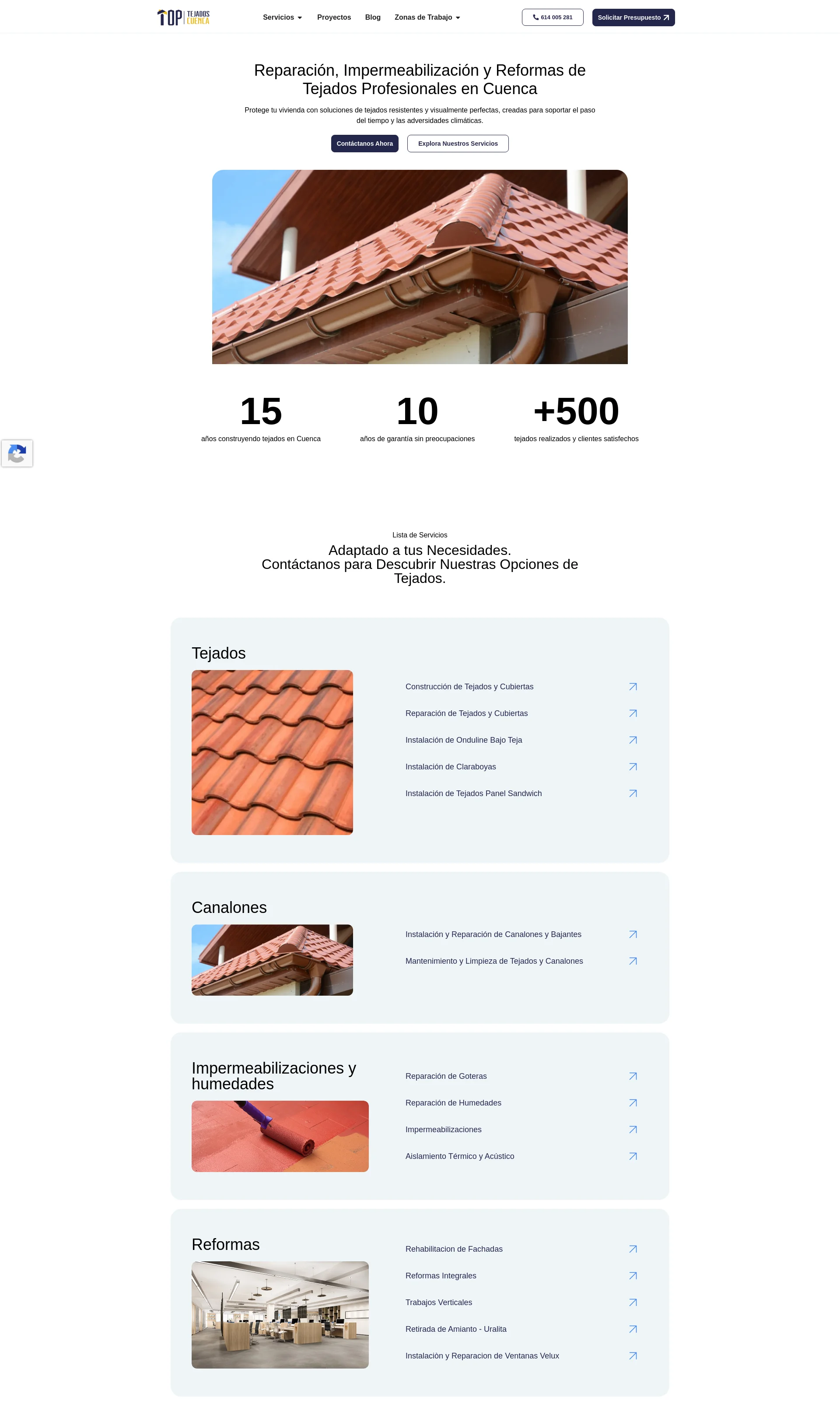 Professional Roofing Services