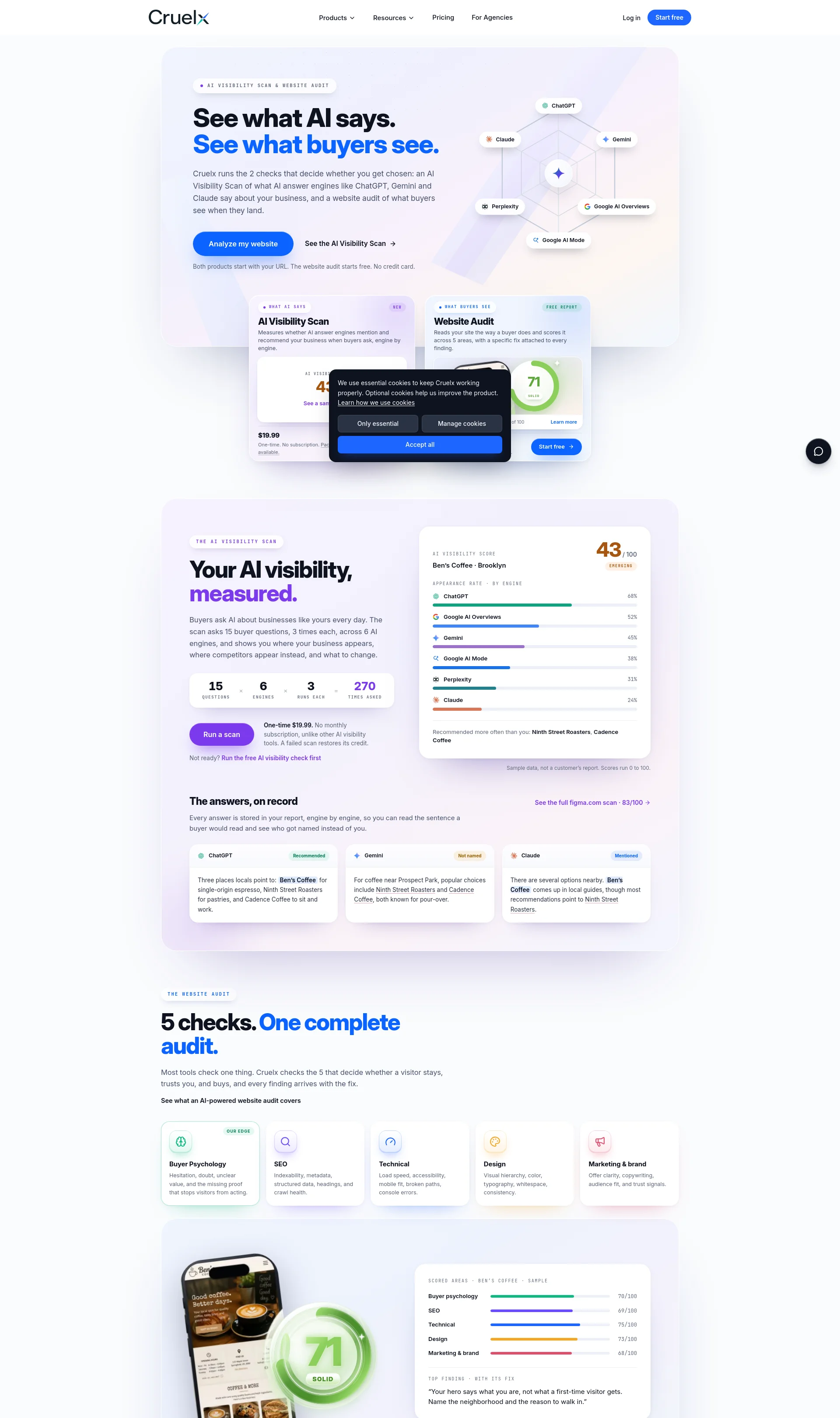 AI Visibility Scan and Website Audit